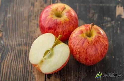 蘋果冷庫儲藏特點，保鮮冷庫造價及影響因素(圖1)