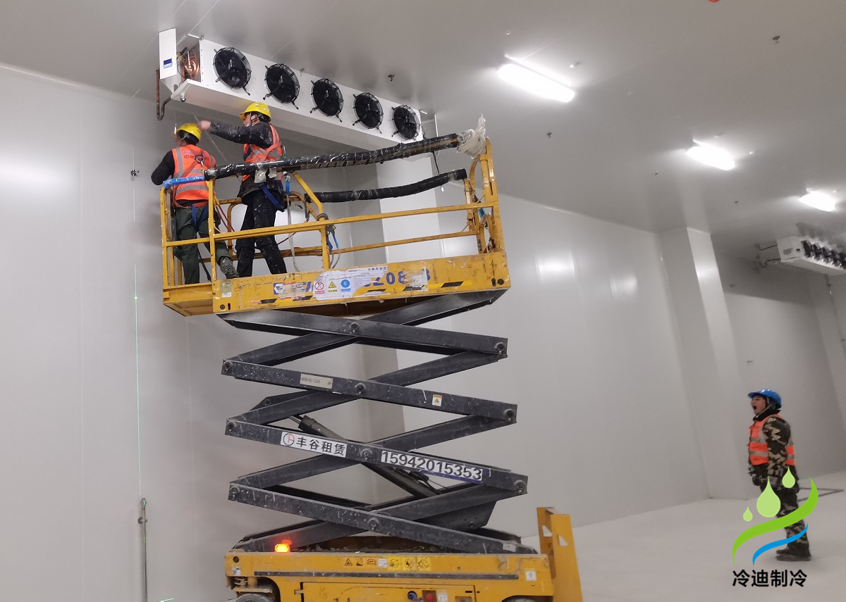 500噸冷庫造價(jià)