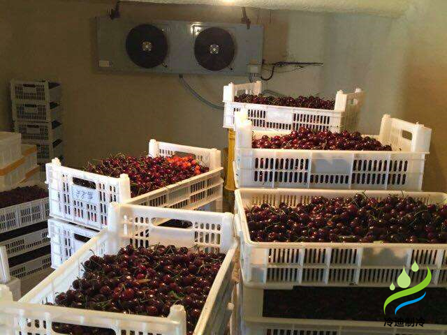 建設50噸車厘子保鮮氣調冷庫造價多少錢？