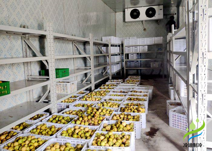 棗子保鮮冷庫長期儲(chǔ)存8點(diǎn)方法介紹