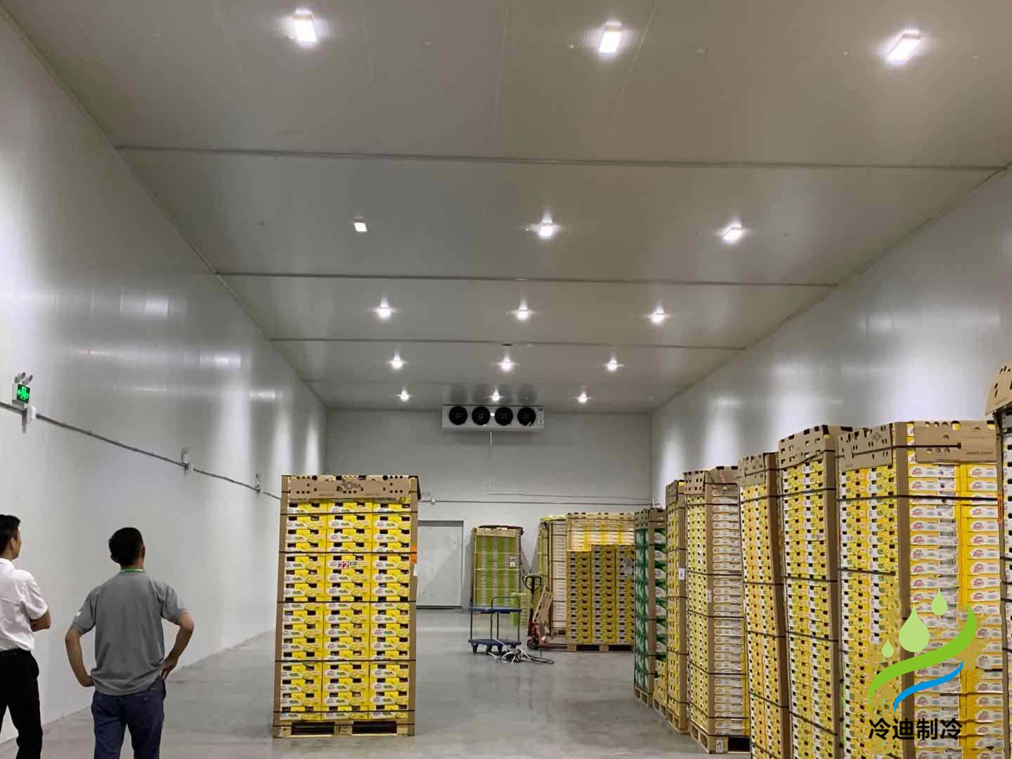 棗子保鮮冷庫長期儲(chǔ)存8點(diǎn)方法介紹