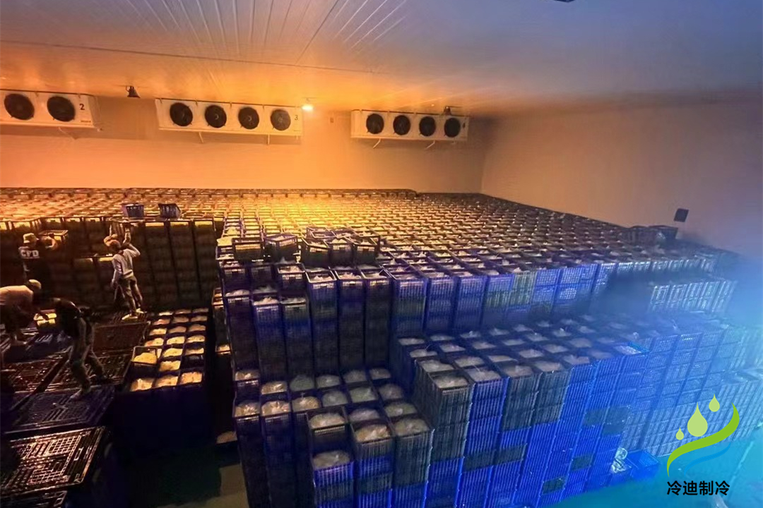 1000立方冷庫可以存多少噸？用多大制冷設備？