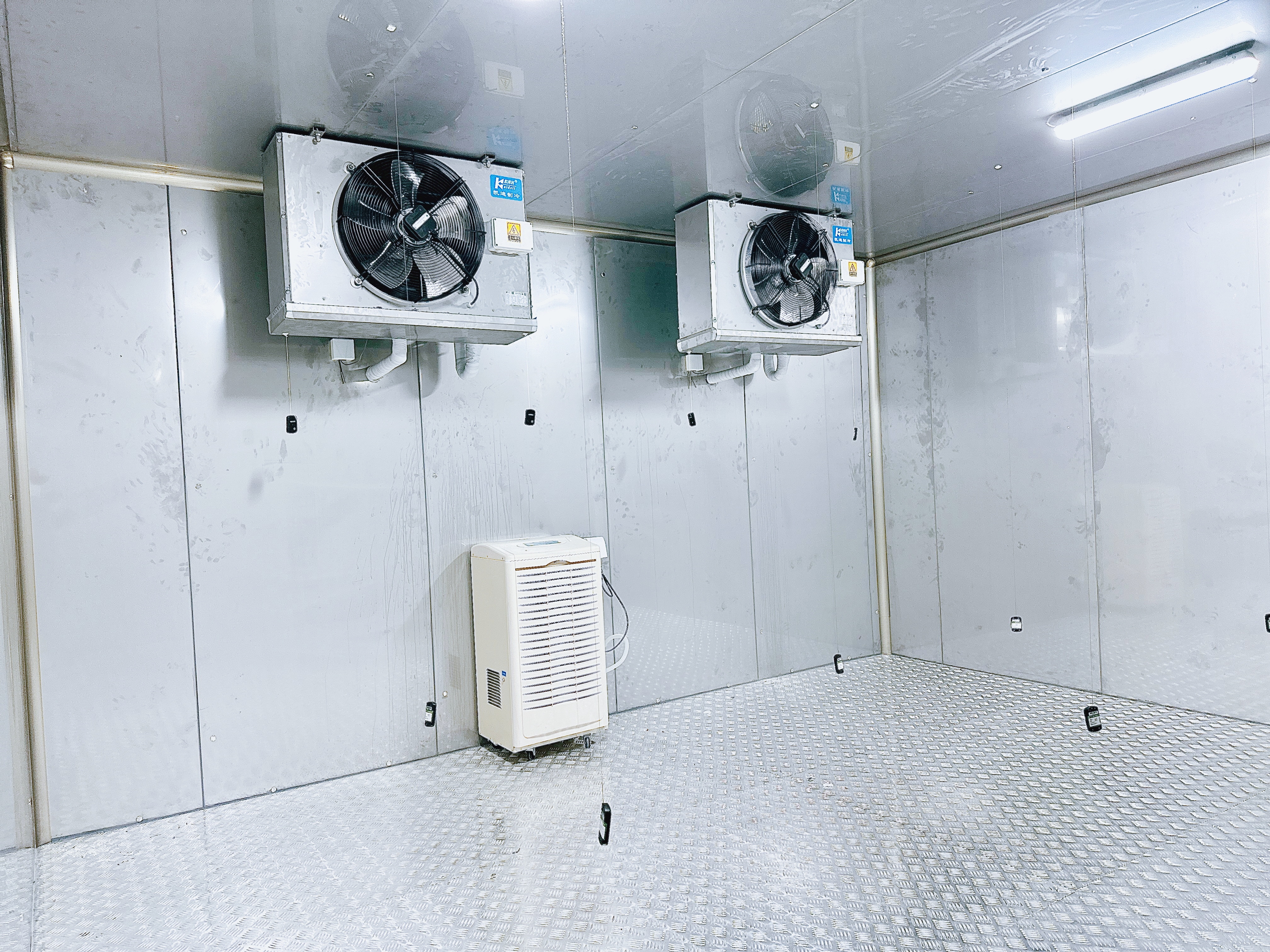 建造一座速凍冷庫造價(jià)大概多少錢?(圖1)