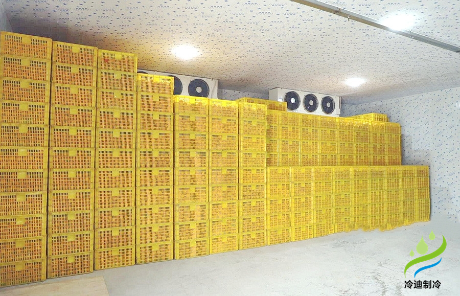 建造一個(gè)橙子冷庫(kù)需要多少錢？(圖2)