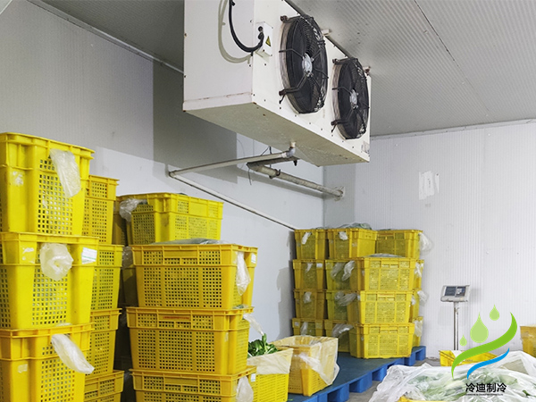 建造一個(gè)蘑菇專(zhuān)用保鮮冷庫(kù)需要多少錢(qián)(圖2)