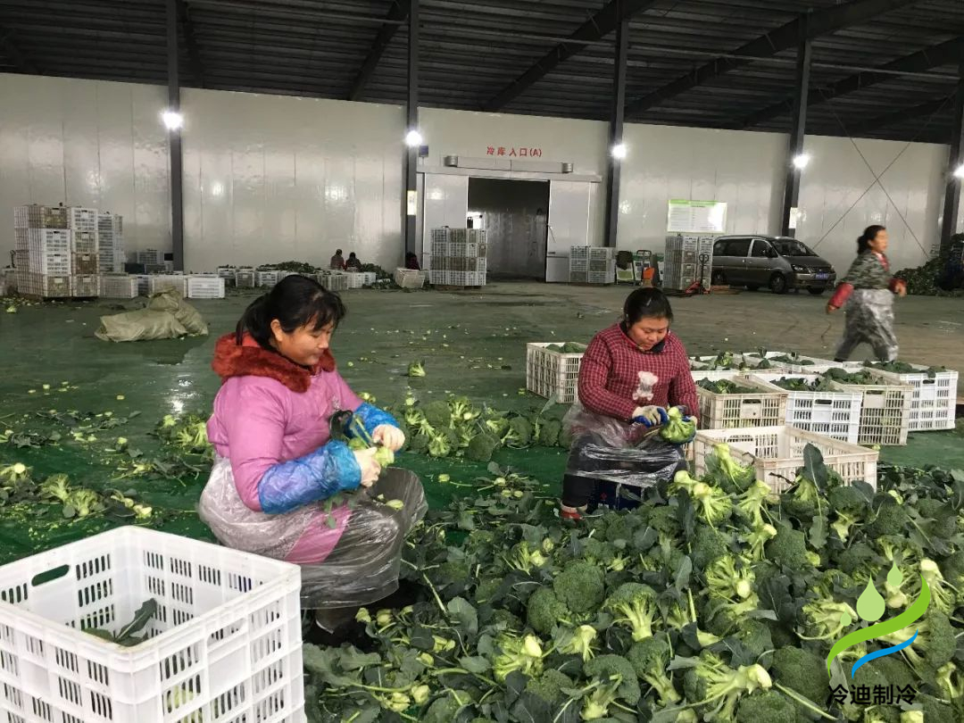 果蔬保鮮冷庫(kù)